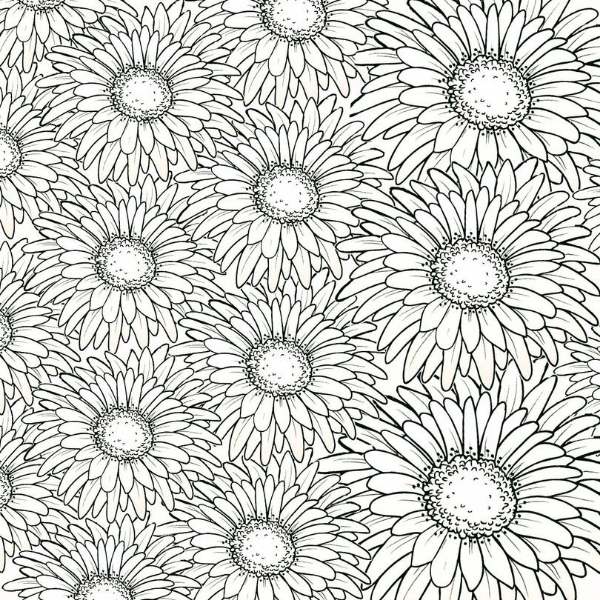 Daisies Texture Stamp