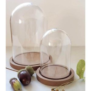 Clear Plastic Dome with Wood Base