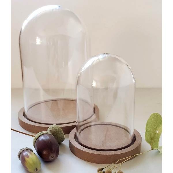 Clear Plastic Dome with Wood Base