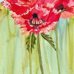 diane-marcotte-poppies-4-2